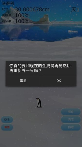 治愈的企鹅育成 v1.0 安卓版1
