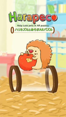 小刺猬的AR迷宫 v1.0.1 安卓版1