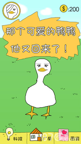 冬日里的那只鸭 v2 安卓版0