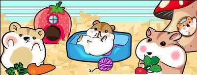 宠物仓鼠 v4.0 安卓版2