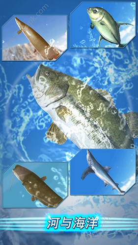 钓鱼季节 v1.6.75 安卓版0