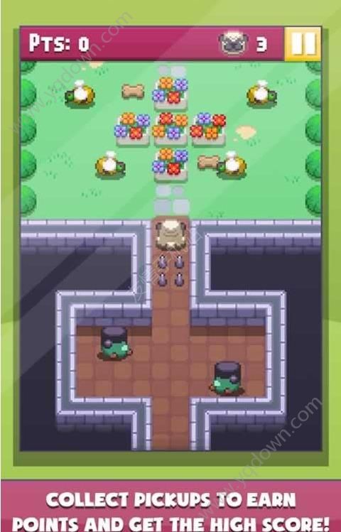 八哥犬大冒险 v1.0 安卓版1