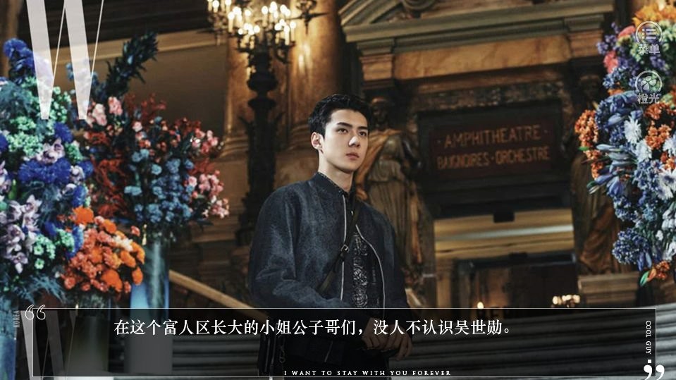 exo重生后橙光 v1.0 安卓版2