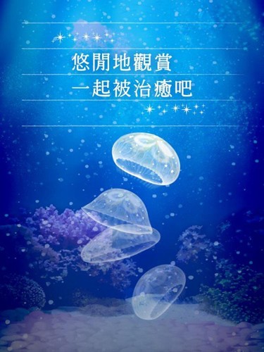 海蜇養(yǎng)成 v1.2 安卓版 1