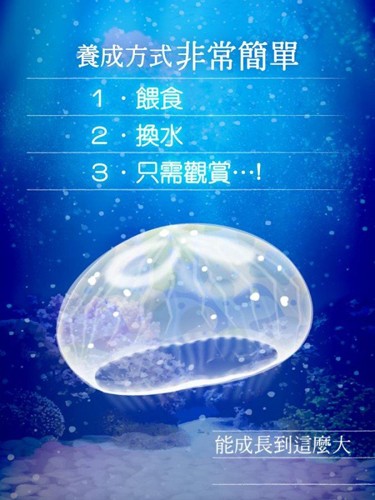 海蜇養(yǎng)成 v1.2 安卓版 2