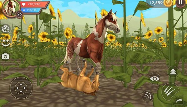 3D動(dòng)物模擬器 v36.1 中文版 2