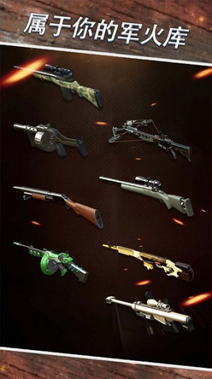 狙擊作戰(zhàn) v1.1 安卓版 2