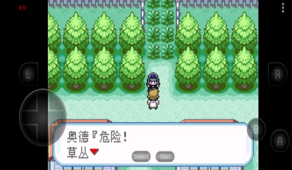 口袋妖怪火紅 v2021.02.22.14 安卓版 2