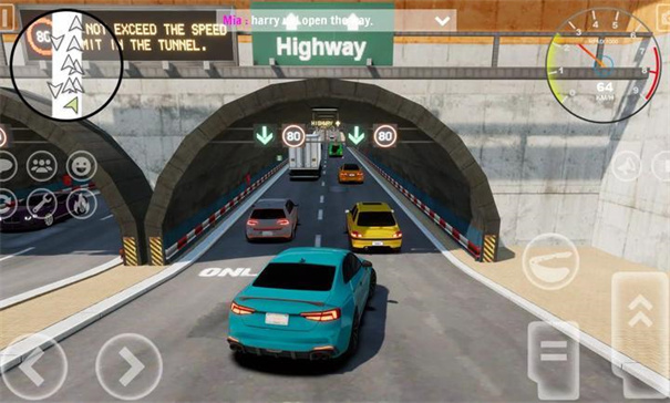 驾驶大师赛 v1.0 安卓版1