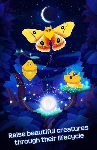 FlutterStarlight v2.204 安卓版 0