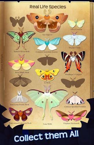 FlutterStarlight v2.204 安卓版 2