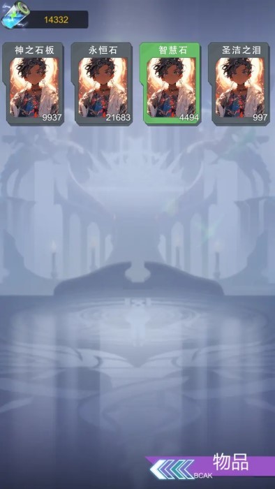 二次元云掛機(jī)ssr v1.0 安卓版 1