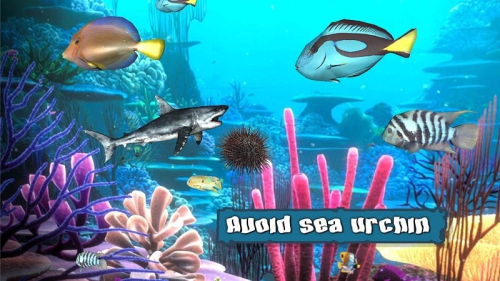 鯊魚之王 v2.0.0 安卓版 1