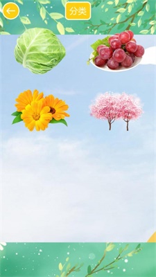 兒童植物拖拖樂 v1.0 安卓版 2