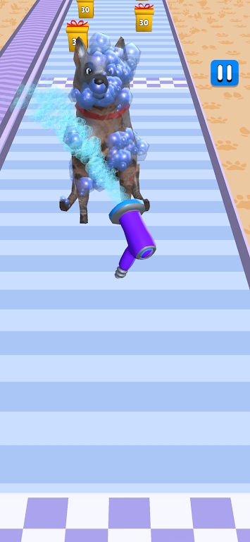 寵物照顧跑 v3 安卓版 1