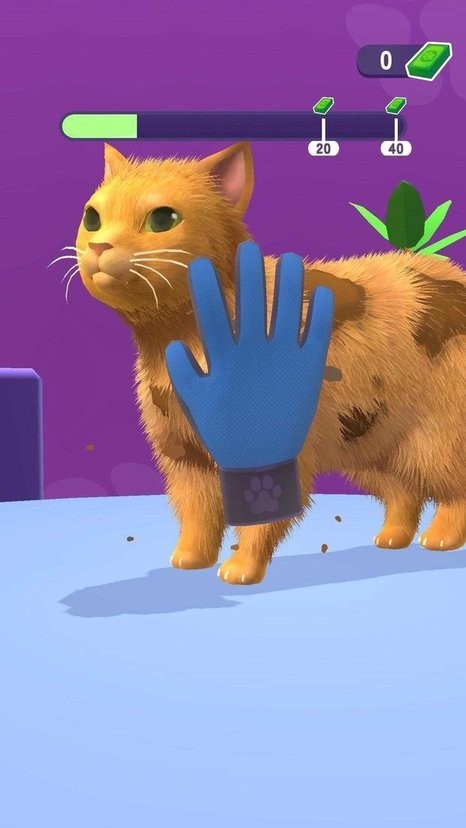 寵物美容理發(fā)店 v0.1.0 安卓版 1