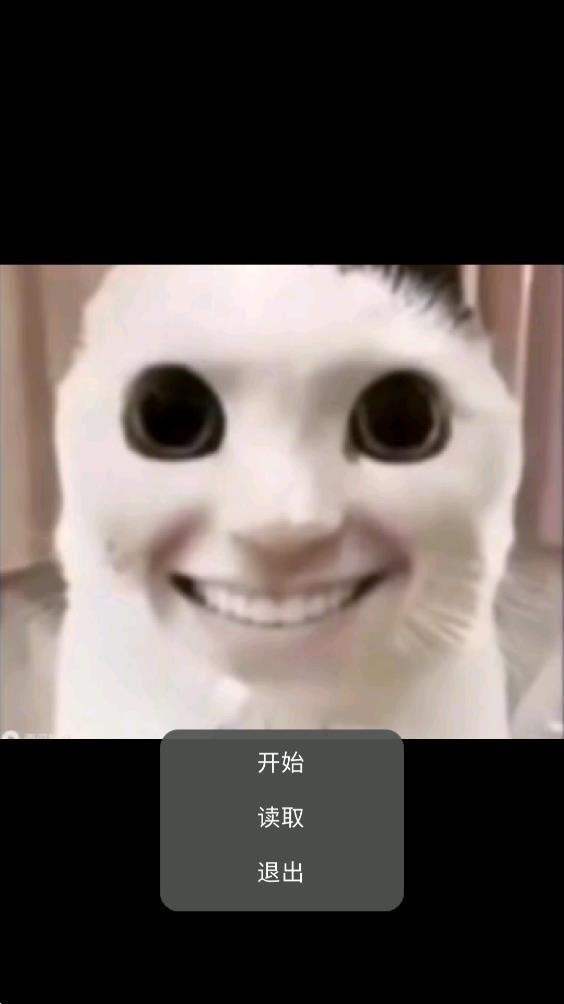 貓貓?bào)@魂1.3 v23.01.191628 安卓版 2