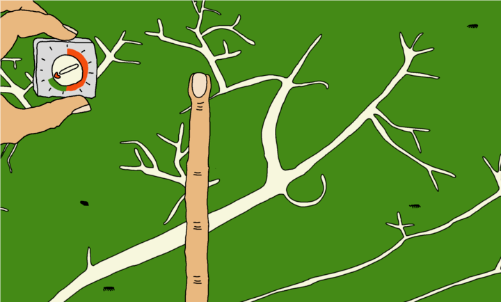 越南料理 v1.0.0 安卓版 2