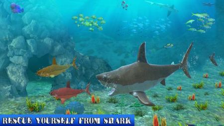 大鯊與小鯊魚 v3.5 最新版 2