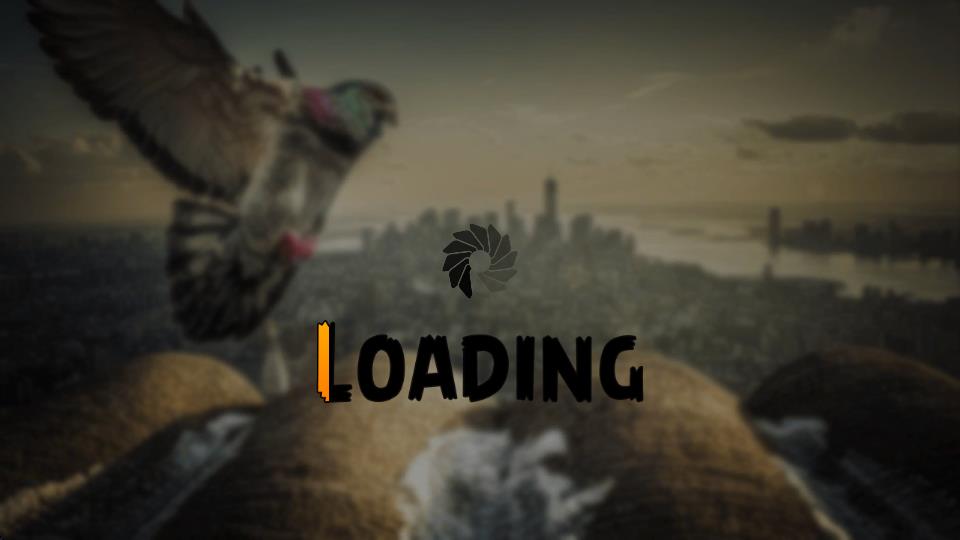 鴿子模擬 v1.1 安卓版 1