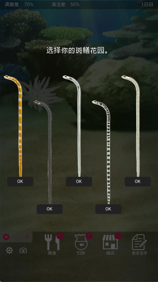 養(yǎng)育花園鰻的治愈 v1.0 安卓版 0