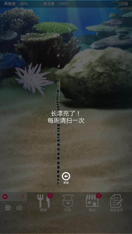 養(yǎng)育花園鰻的治愈 v1.0 安卓版 2