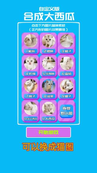 合成大西瓜自定義版本 v2.31 安卓版 3