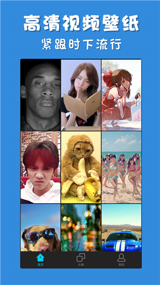 彩蛋視頻壁紙手機(jī)版 v3.2.6 安卓版 1