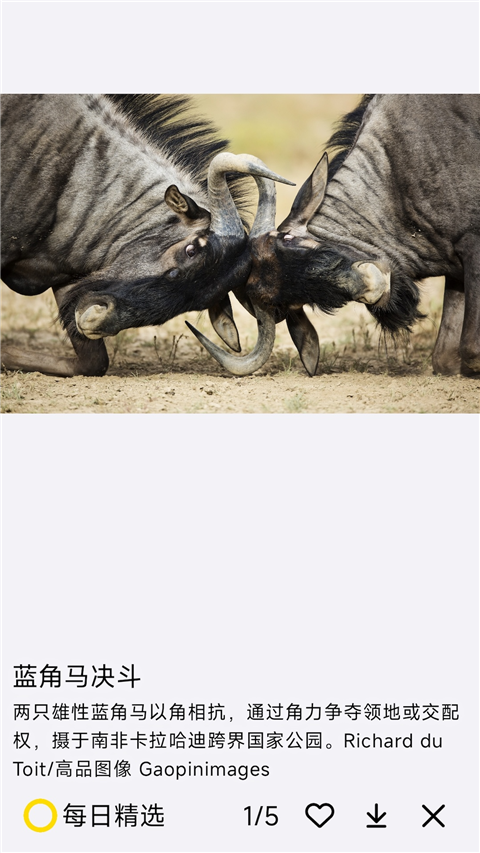 國家地理每日精選 v3.0.3 安卓版 1