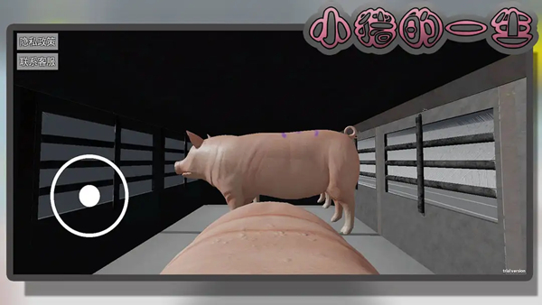 小豬的一生 v10.5.1 安卓版 1