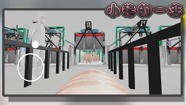 小豬的一生 v10.5.1 安卓版 2