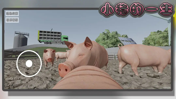 小豬的一生 v10.5.1 安卓版 3