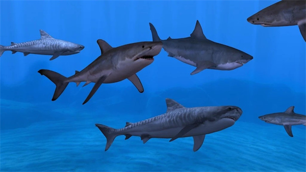 養(yǎng)魚場3中文版 v1.18.8.7180 2