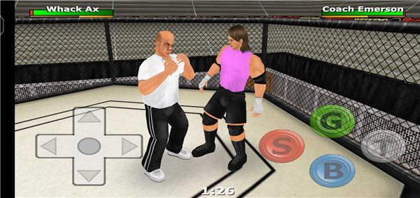 摔跤戰(zhàn)士游戲(Weekend Warriors) v1.211.64 安卓版 0