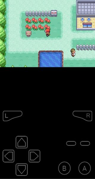 口袋妖怪融合維度內置修改器 v1 0