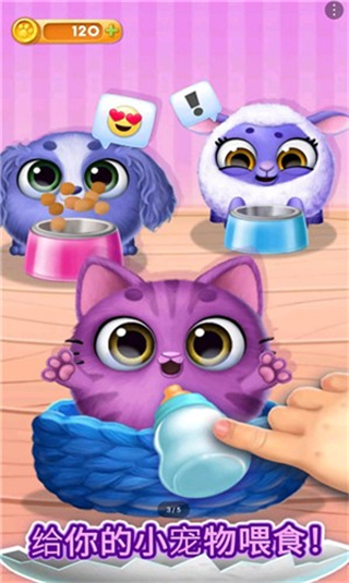 我的可愛寵物屋無限金幣 v8.0.31 0