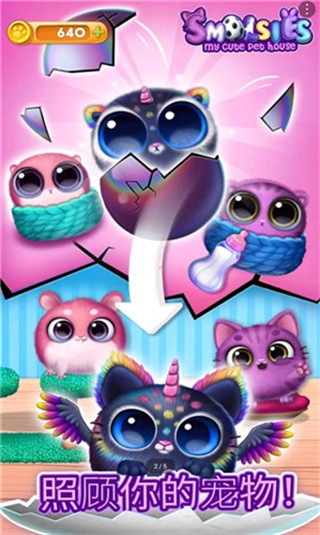 我的可愛寵物屋無限金幣 v8.0.31 2