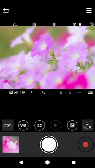 lumix sync官方版 v2.0.13 最新版 2