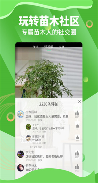 苗木通 v6.1.0 安卓版 2