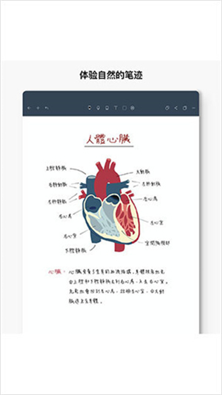 noteshelf免費(fèi)版app v9.0.9官方版 0