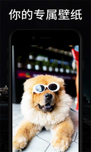 百變桌面壁紙app v3.6.6安卓版 0