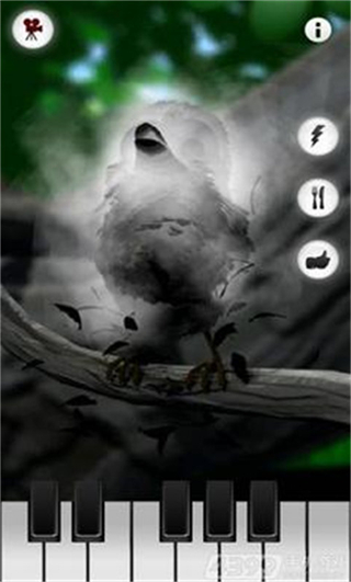 会说话的拉里鸟正版 v1.1.51