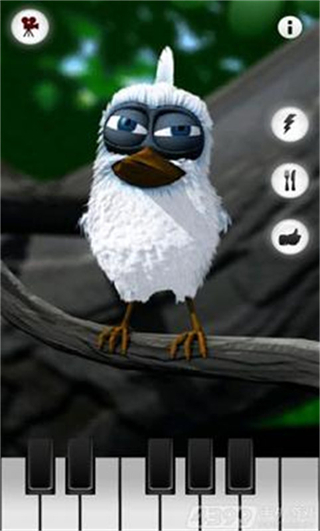 会说话的拉里鸟正版 v1.1.52