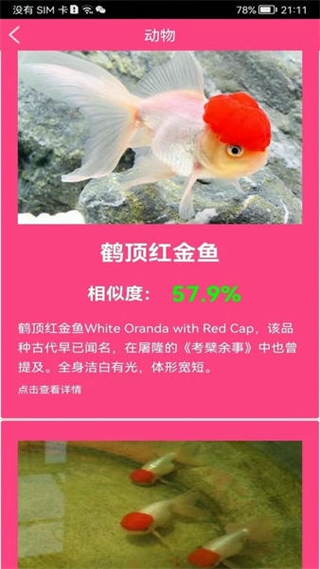 拍照識花神器手機版 v5.6.7 安卓版 2