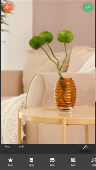 鏡像相機軟件 v2024.10.300 安卓版 0