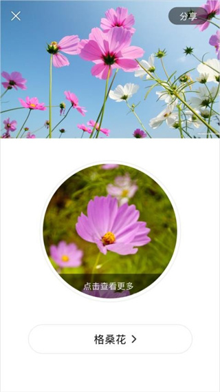識花大師app v1.3.8 安卓版 3