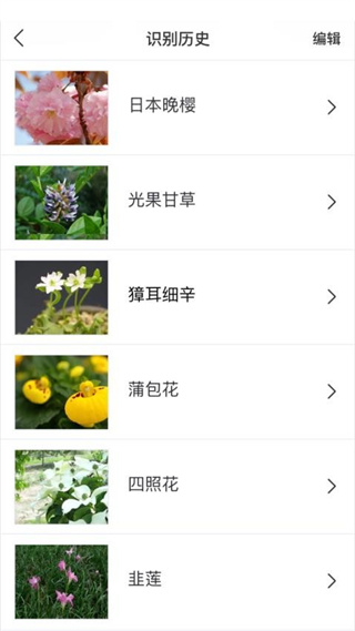 識花大師app v1.3.8 安卓版 2