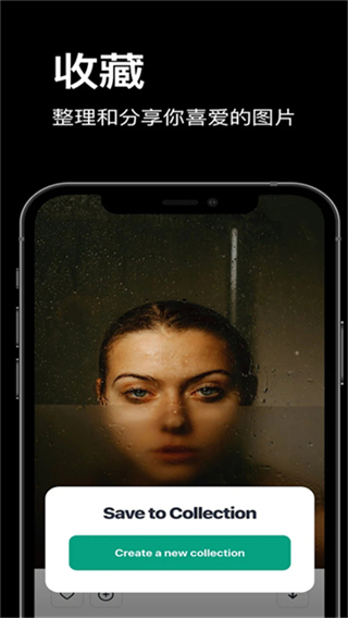 pexels中文版 v7.8.0 安卓版 3