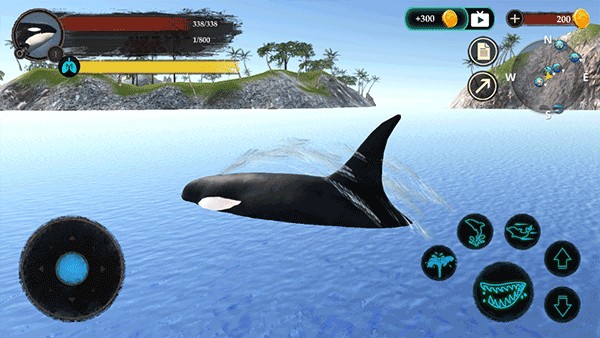 虎鲸模拟器中文版 v1.1.80