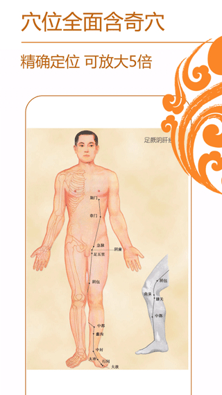 經(jīng)絡(luò)養(yǎng)生專業(yè)知識 v4.0.2 安卓版 0